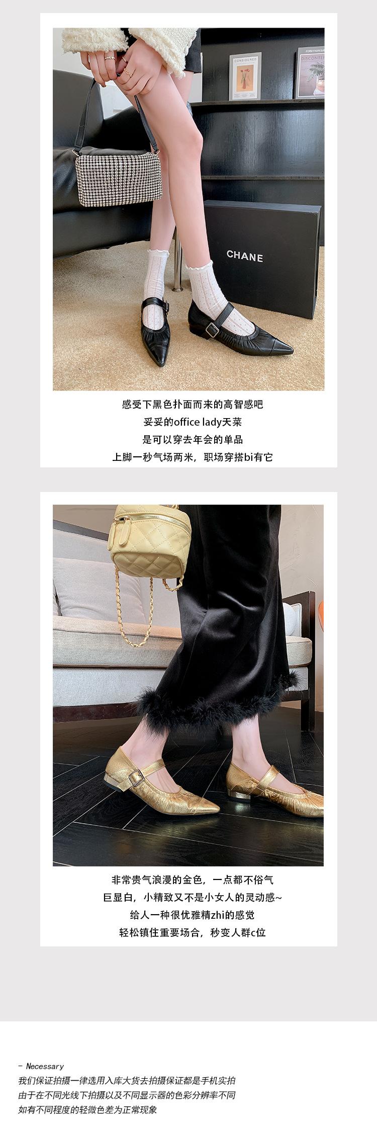 2_01.jpg