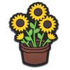 Gran oferta de Amazon: zapatos de girasol con agujero en forma de flor, hebilla decorativa de PVC, accesorios de plástico para jardín, hebilla de guisante