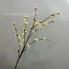Plantas Verdes Artificiales, Perlas Moradas, Tiras de Frutos Pequeños de Frijol de Tallo Largo, Flores Artificiales, Ramas Entrelazadas, Adornos Decorativos, Estilo Wabi-Sabi