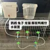 Dispensador de agua para pájaros loro bebedero automático piel de tigre bebedor beber agua aguja golpeadora conejo hámster nuevo cacatúa