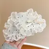 Estilo Francés Estilo Suave Encaje Triángulo Pinza de Agarre Temperamento Suave Alto Nivel Pinza de Tiburón Temperamento Trasera Pinza para el Cabello Accesorios para el Cabello