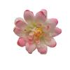 Cabeza de Flor de Crisantemo de Seda Simulada de 6.5cm DIY Horquilla Horquilla Tocado Flor Sombrero de Cuadros Sombrero de Paja Accesorios Flor Venta al Por Mayor