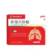 Fabricante Distribuye Parche de Seno de Li Shizhen para Regular la Menstruación, Calentar el Útero, Próstata, Tos, Asma, Riñón, Columna Lumbar y Parche Terapéutico de Estimulación Auditiva
