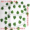 Hoja de Uva Simulada Flor de Ratán Enredadera Hoja de Manzana Planta Verde Colgante de Pared Tubería Cerramiento Techo Decorativo Ratán Venta al por Mayor