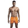 Moda Nova da Temporada Roupa Íntima Respirável Masculina Cor Sólida Cinco Pontos Calções de Praia para Natação Secagem Rápida Respirável Clássico Tamanho Plus Calças