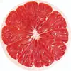 Mouse Pad Temático de Comida em Formato de Fruta Mais Vendido, Tapete Pequeno Antiderrapante para Escritório e Laptop Gamer Personalizado