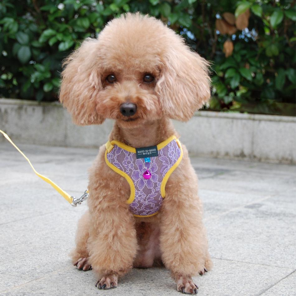 pet products harness vest mesh