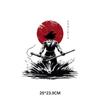 Impresión por transferencia térmica de tinta blanca de Dragon Ball Wukong, anime japonés, venta al por mayor, ropa DIY, camisetas, suéteres, abrigos, decoración