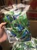 Suministros de Drenaje para Floristería [Empaque Mini de 6.5x8.8cm] Venta al por mayor de 30 Bolsas de Semillas de Verduras de su Elección