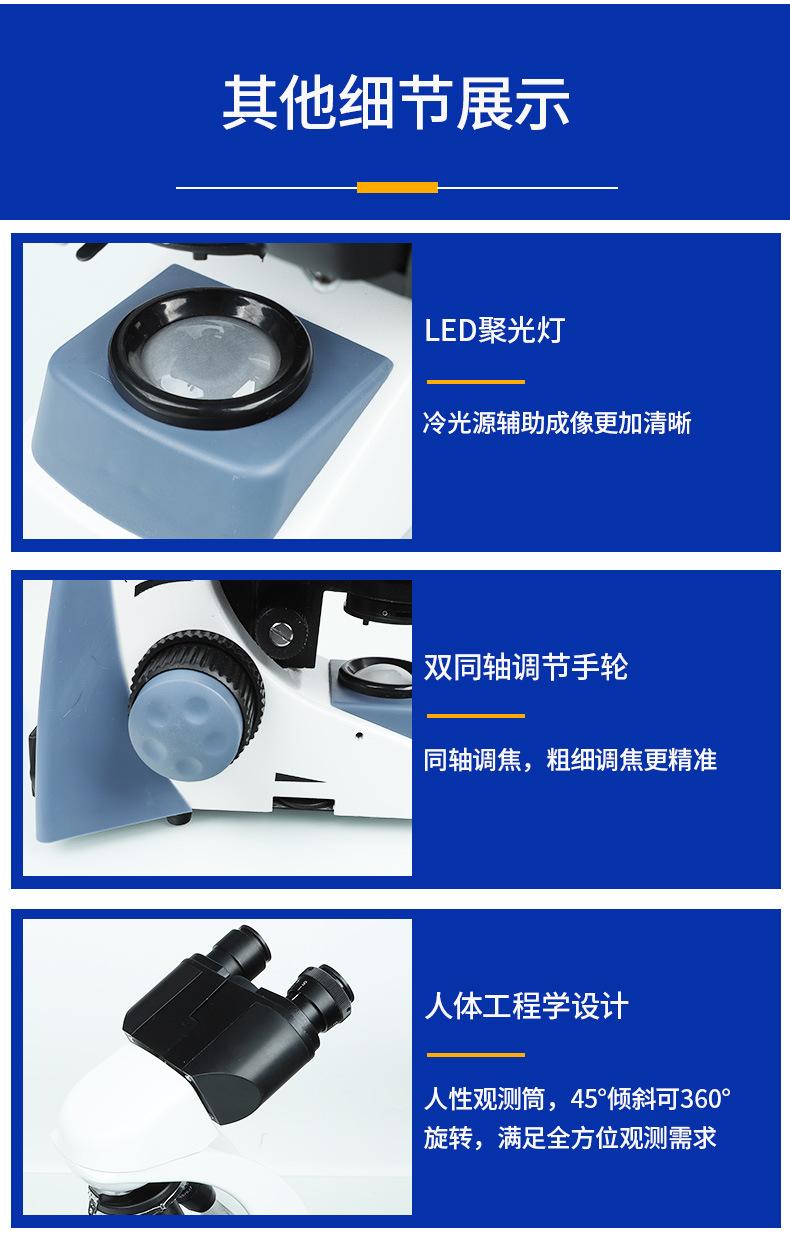 未标题-1_08.jpg