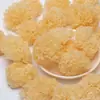 Tremella Fuciformis Seca sobre Madera de Tilo, Sopa de Tremella Fuciformis Pegajosa, Tremella Fuciformis Preparada para Comer, Nuevo Stock para 2026, Tremella Fuciformis sobre Madera de Tilo