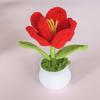 Tulipa em Crochê com Ponto Aberto em Vaso Planta de Mesa Decoração para Casa Pequeno Ornamento Presente Flor Artificial Tecida Pronta