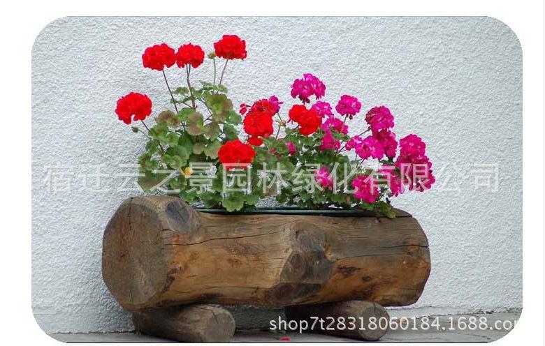 澶╃钁佃缁?
