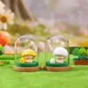 Novos Enfeites de Mesa Desenho Animado, Floresta de Meditação, Artesanato Popular de Resina Caixa Surpresa, Presentes para Estudantes, Lembrancinhas
