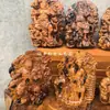 Estátuas de Madeira de Trovão Naturais da Montanha Longhu: Rei Lingguan Zhao Gongming, Zhong Kui, Imperador Wen Chang, Zhenwu Dadi, Imperatriz de Nove Caudas
