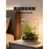 Qingyang Micro Paisaje Taza Colectora de Rocío Botella Botella de Vidrio de Borosilicato Alto Botella para Musgo Botella Colectora de Rocío para Plantas de Escritorio