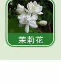 日用香精系列明细_10.jpg