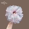 Scrunchie de Renda Bordada Degradê para Meninas, Elástico Doce para Coque, Corda de Cabelo, Faixa de Cabelo, Acessório de Cabelo