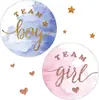 Adesivos de Festa de Revelação de Gênero de Fonte Transfronteiriça de 5cm equipe Meninos e Meninas equipe menina equipe menino