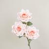 Capuchino de 3 cabezas, rosa rizadora, rosa moca, color otoñal, boda, hotel, flor decorativa, fotografía, paisaje, flor