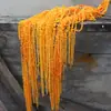 Buquê de Flores Secas com Flores Permanentes, Milhete Vermelho de Seda para Casamento, Borla Pendurada, Material de Flor para Pendurar