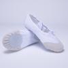 Zapatos de Danza Ballet para Niñas Zapatos de Entrenamiento Corporal para Yoga para Adultos Zapatos Especiales para Examen de Arte Zapatos de Danza para Actuación