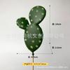 Maceta Humana Carnosa Caliente Transfronteriza Estilo Europeo y Americano Estilo Moderno Simple Decoración para el Hogar Creativa Cinco Características Maceta Planta Adorno