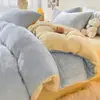 Juego de ropa de cama de cuatro piezas engrosado de invierno, que incluye una funda de edredón de terciopelo de leche y forro polar de coral de doble cara, una sábana bajera con forro polar y un juego de sábanas de tres piezas.
