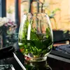 Jarrón de Vidrio Huevo de Dragón Hidropónico Transparente Plantas Verdes Arreglo Floral Jarrón Recipiente Decoración de Sala de Estar Acuario Estilo Vintage