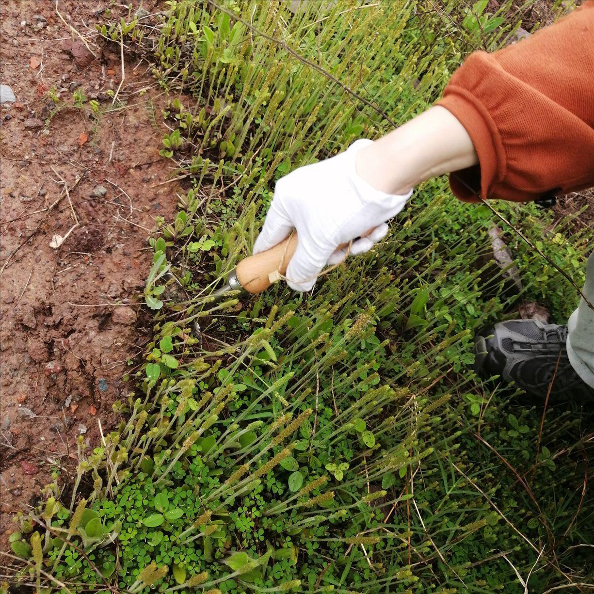 微信图片_20250419151911_已修改