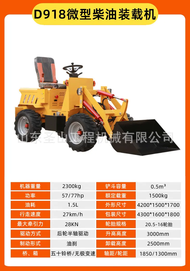 D918_02.jpg