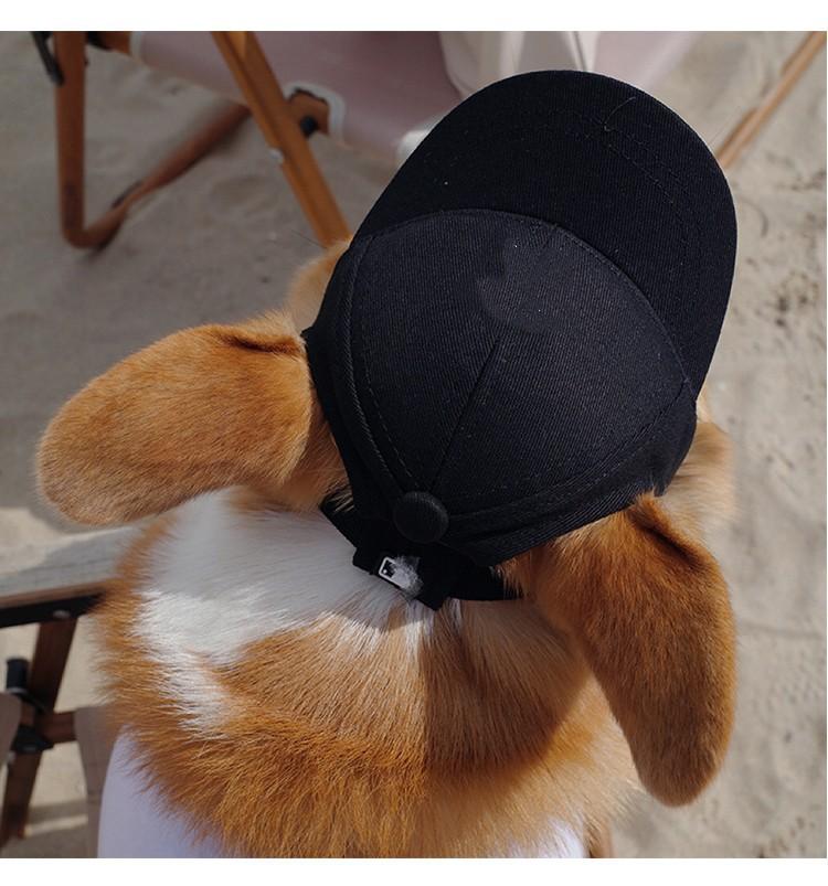 宠物帽子