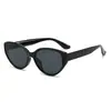 Óculos de Sol Cat-Eye Versáteis para Mulheres, Óculos de Sol Marrons Estilosos Retro Europeus e Americanos Tendência para Homens, Óculos com Proteção UV