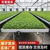 Invernadero de cama de semillero hidropónico de flujo y reflujo plantación de flores verduras plántulas en maceta riego cama de semillero circulación de agua y fertilizante cama de semillero