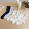 Meias Femininas Seamless Estilo Jardim Florido Meia-Perna Atacado Primavera e Verão Malha Ultra Fina Respirável Punho Solto Meias Slouch Algodão