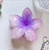 Pinza para el Cabello de Acrílico con Flor de Plumeria para Mujer, Accesorio para el Cabello de Alta Gama, Pinza de Tiburón, Pinza para el Cabello de Verano Transfronteriza para Media Coleta