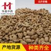 Lentilhas Brancas Fritas 1000g Huamei Medicina Chinesa Fornecimento Atacadista de Materiais Medicinais Tradicionais Chineses Estoque Novo de Lentilhas Brancas