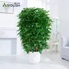 Árbol Feliz Planta Verde En Maceta Interior Planta Verde Grande En Maceta Árbol de la Paz Fácil de Cultivar Perennifolio Árbol Feliz Venta al por Mayor