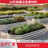 Cama de Jardín Caja Metálica para Plantar, Caja Móvil para Verduras, Macetero, Balcón Exterior, Patio, Caja para Plantar en Azotea