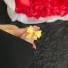 Loja de Ouro Mesmo Estilo Anel Borboleta Dourada com Zircônia Incrustada para Mulheres Designer de Nicho High-End Anel Aberto Transmissão ao Vivo