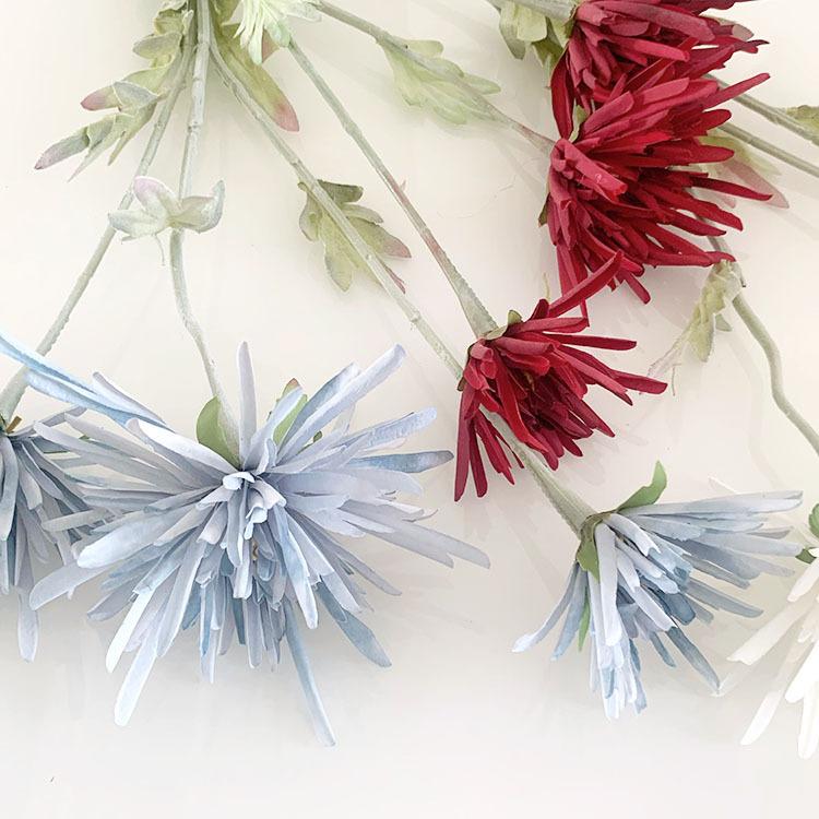 IMG_8037(20220721-111206)