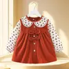 Bata de Niña Princesa Ropa Exterior Babero de Bebé para Comer Impermeable Anti-Suciedad Vestido Invertido Bolsillo para Arroz Delantal Otoño e Invierno