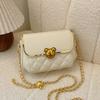 Bolso de mensajero para mujer 2024, nuevo bolso de hombro versátil de primavera y tendencia, bolso cuadrado pequeño popular este año