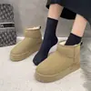 Botines Cálidos del Noreste, Zapatos de Algodón de Invierno, Botas de Nieve Engrosadas para Mujer, Suelas Gruesas 2025, Versátiles, Resistentes al Frío y Terciopelo Nuevo Estilo