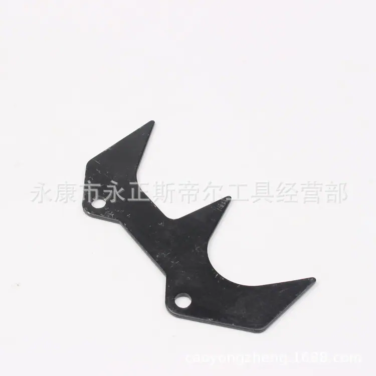 IMG_2842