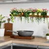 Novo Vaso de Planta Autoadesivo Criativo Flores e Folhas Decoração de Parede para Quarto e Sala de Estar, Adesivos Cartoon Autoadesivos