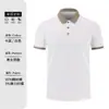 Camisa Polo Formulación Uniforme Escolar de Verano Camiseta de Manga Corta Ropa de Trabajo Cultura Publicitaria Camisa con Cuello Ropa de Trabajo Logo Impreso Personalizado