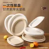 Pratos de Papel Oval Descartáveis Pratos de Jantar Pratos Celulose Biodegradável Talheres Pratos de Frutas Pratos para Festa Churrasco Pratos de Papel