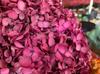 Flor Seca Hortensia Flor Eterna Hortensia Anna Rama Única Absorción de Color Hortensia Anna Flor Eterna Adornos Florales Floricultura Decorativa
