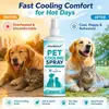 Kineshinex Spray Refrescante de Verano para Mascotas 100ml Refrescante y Cómodo después de Actividades al Aire Libre para Gatos y Perros